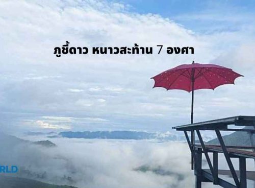 ภูชี้ดาว หนาวสะท้าน 7 องศา