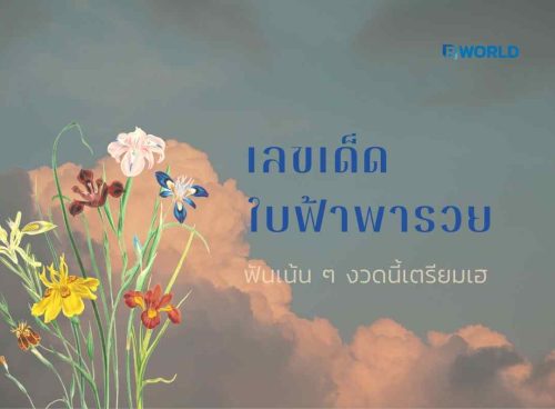 เลขเด็ดใบฟ้าพารวย ฟันเน้น ๆ งวดนี้เตรียมเฮ