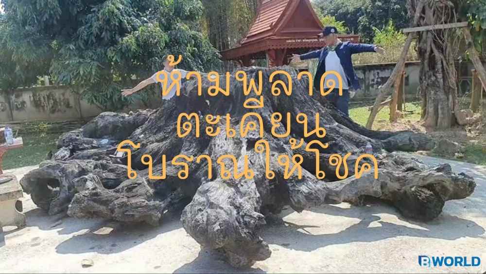 ห้ามพลาด ตะเคียนโบราณให้โชค