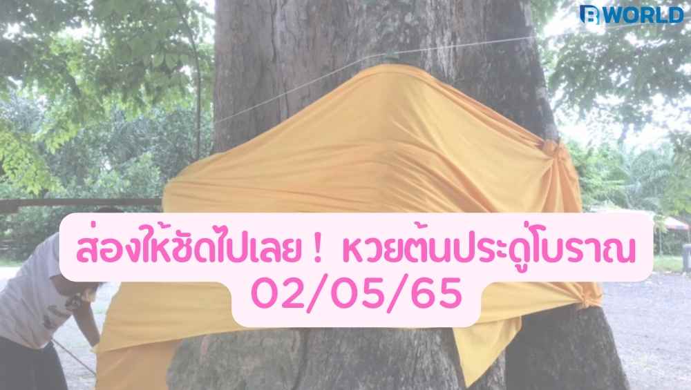 หวยต้นประดู่โบราณ
