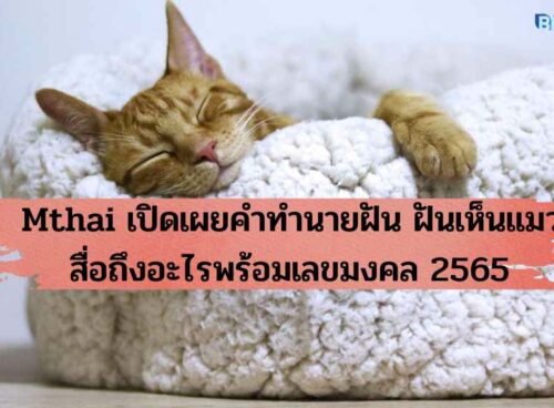 Mthai