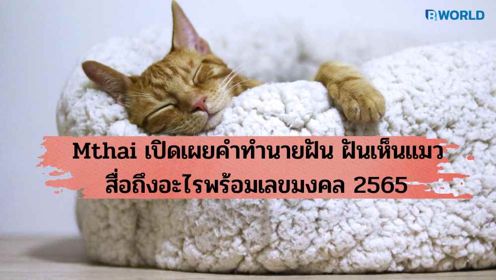 Mthai