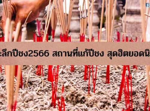 ปีชง2566
